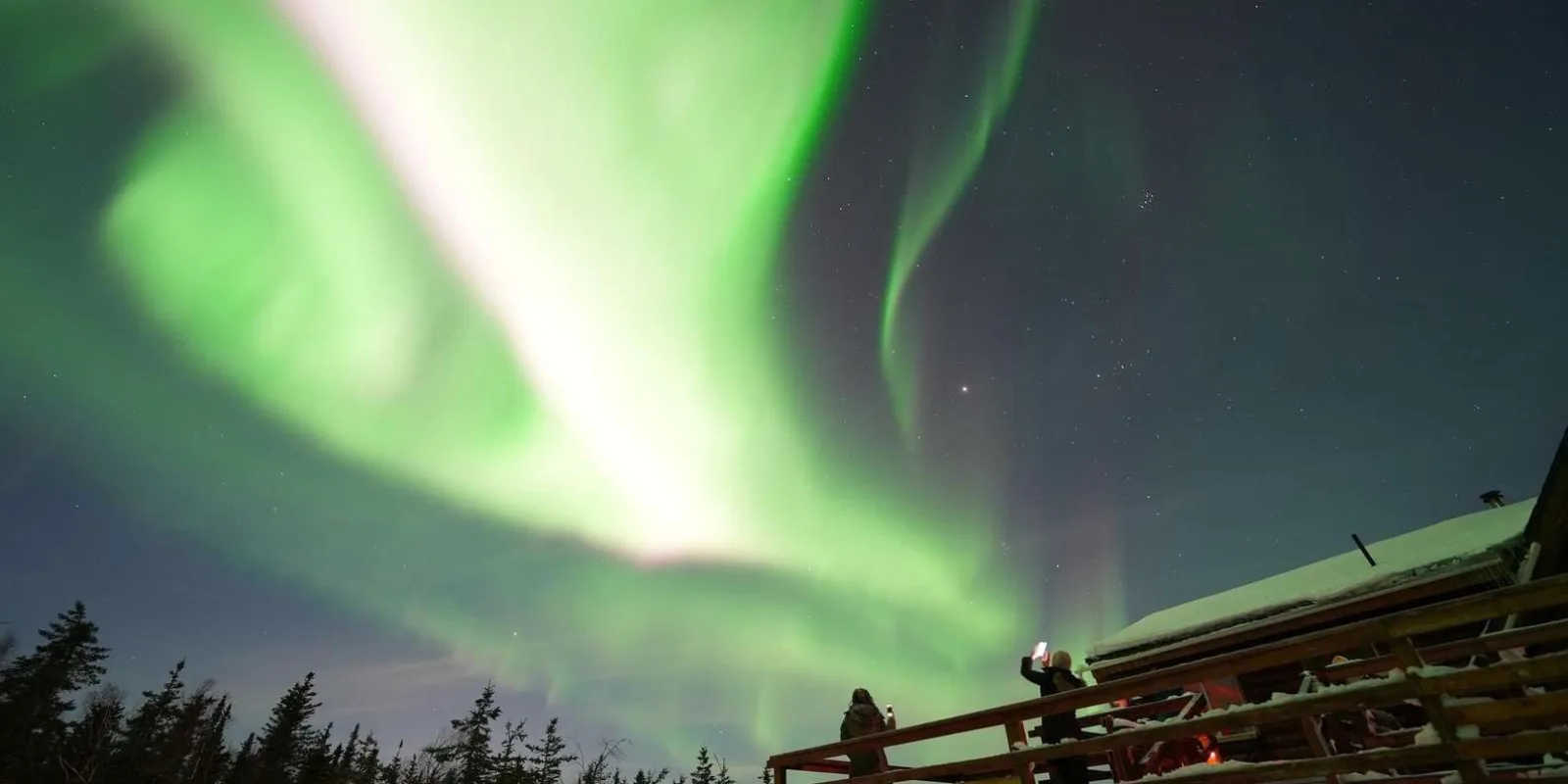 Fairbanks: Aurora Husky Lodge Aurora Viewing Tour