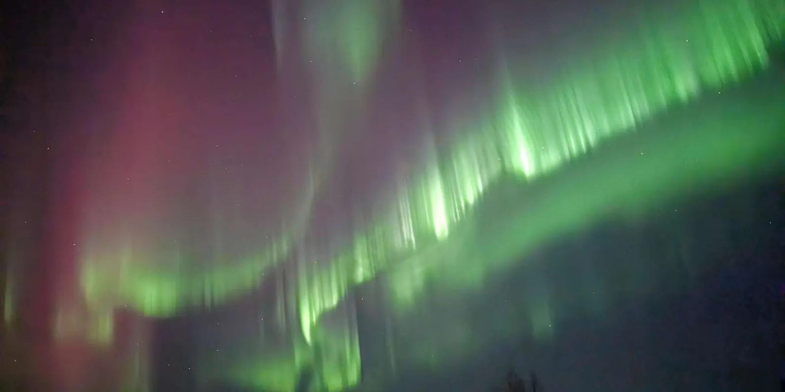 Pink and green aurora streaking diagonally across the night sky over the Alaska interior