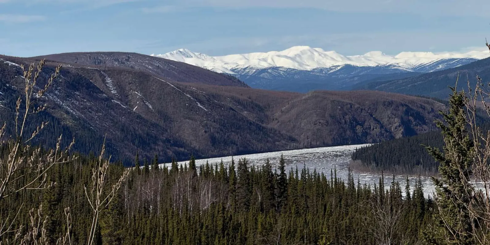 Fairbanks: Arctic Circle Day Tour with Guide