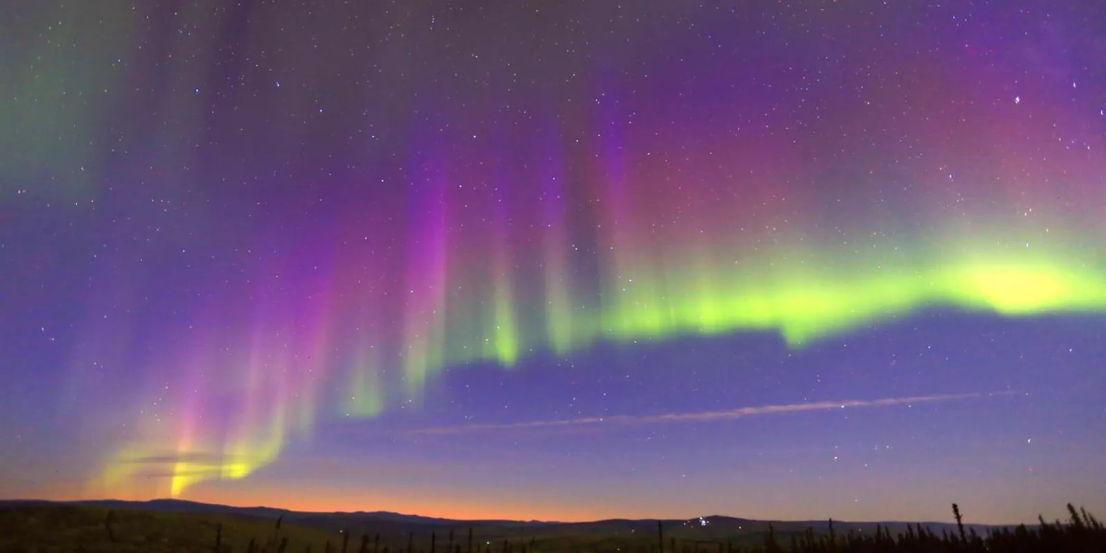 Fairbanks: Moonlight Dog Sled, Dinner & Northern Lights