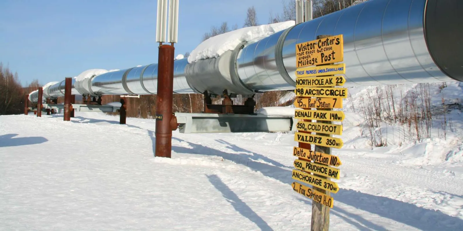 Fairbanks: Winter City Tour