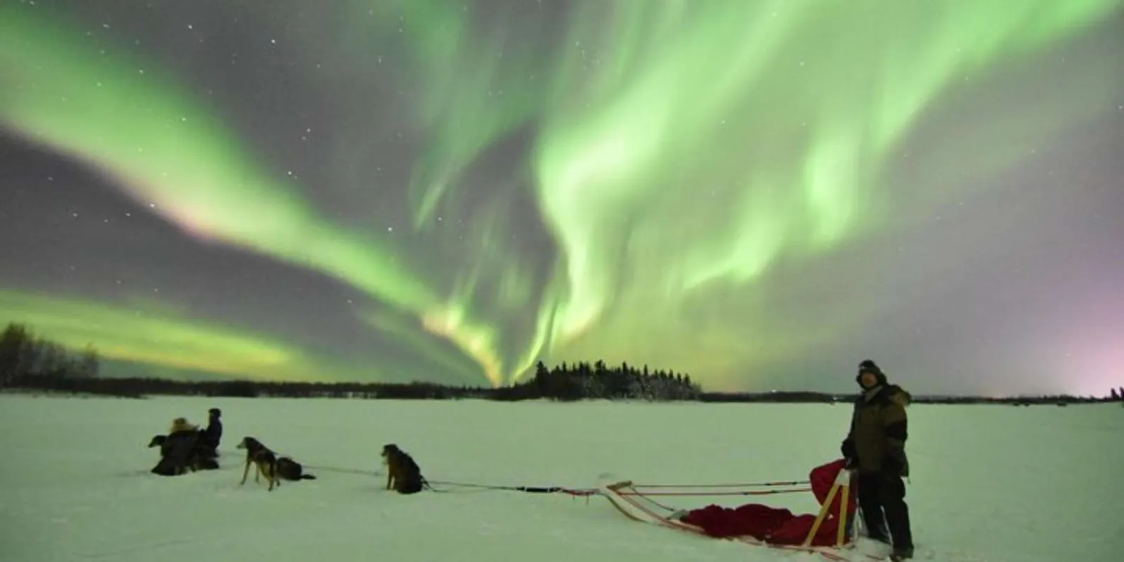 Sled dogs resting on a frozen lake under a bright green aurora display near North Pole, Alaska