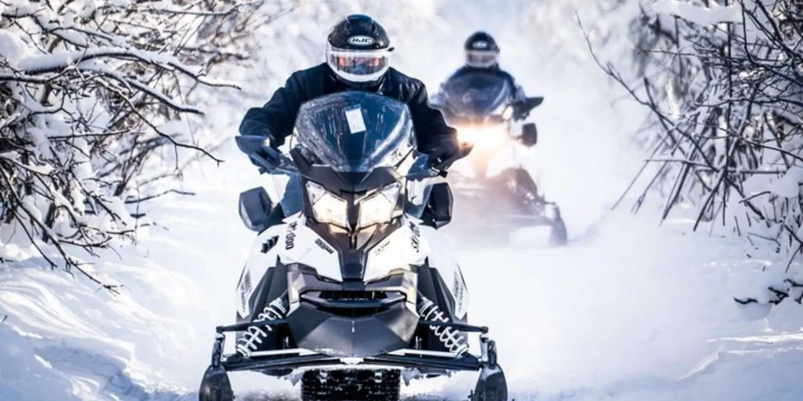 Two guided snowmobiles with headlights on riding a snowy trail through birch woods