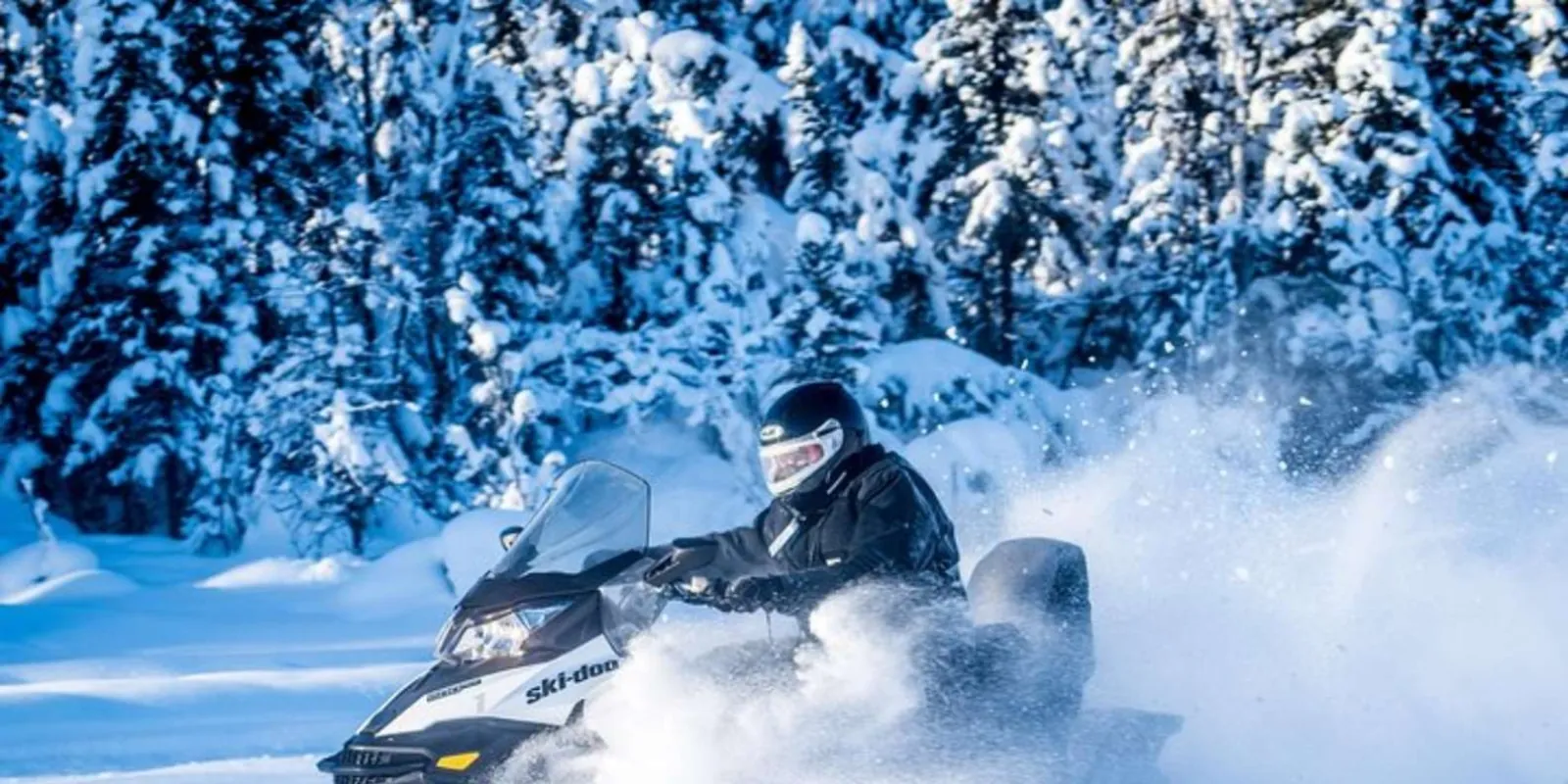 North Pole Alaska: 1 Hour Guided Fairbanks Snowmobile Tour