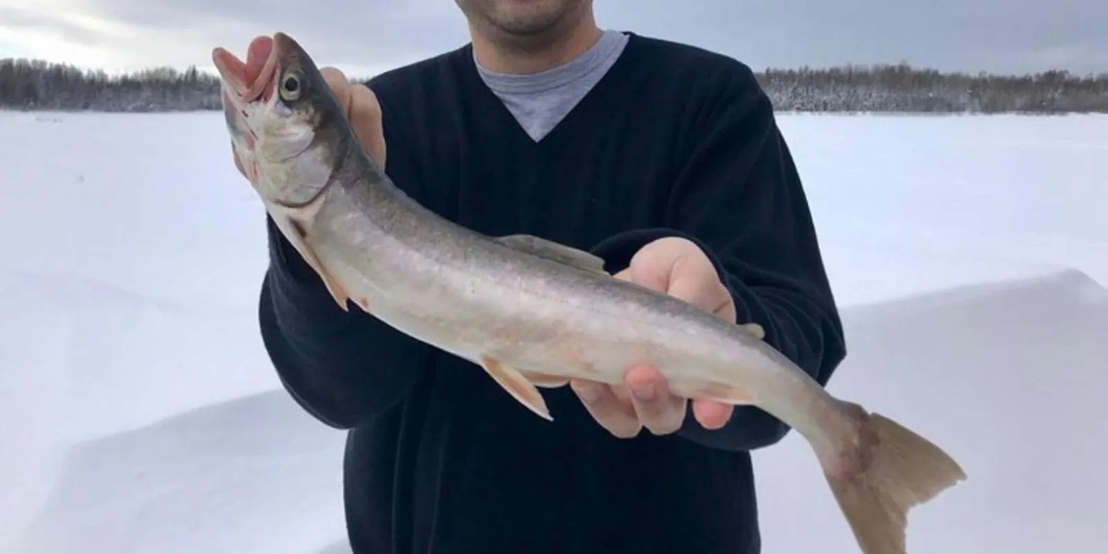 Rainbow trout held up to the camera on the snow-covered ice of a Fairbanks-area lake