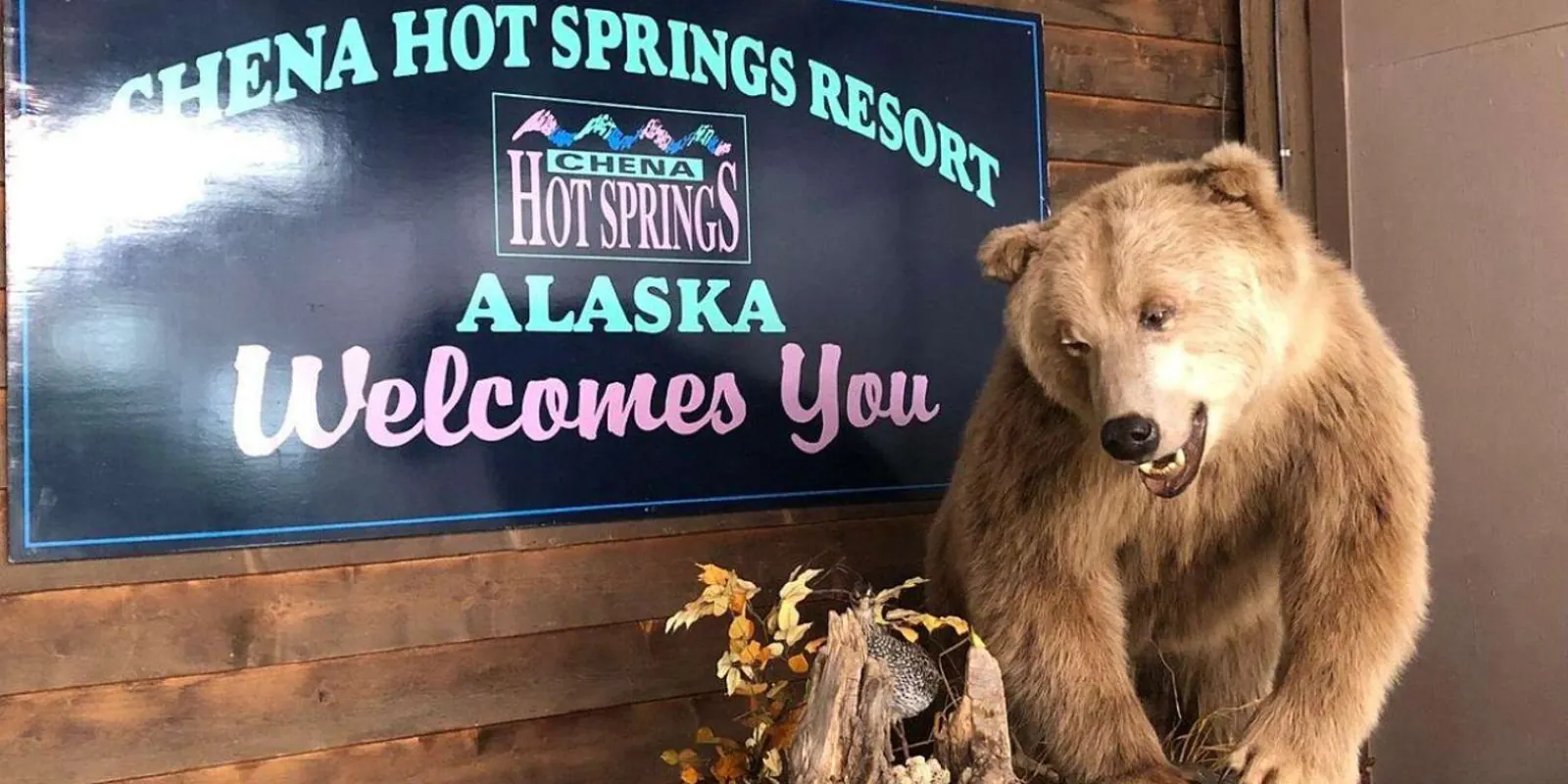 Chena Hot Springs Resort welcome sign in the lobby beside a mounted grizzly bear display