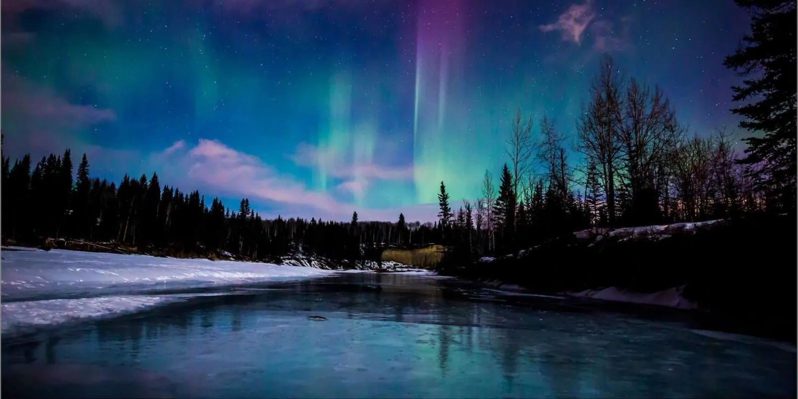 Purple and green aurora over a frozen river lined with snow-covered spruce trees
