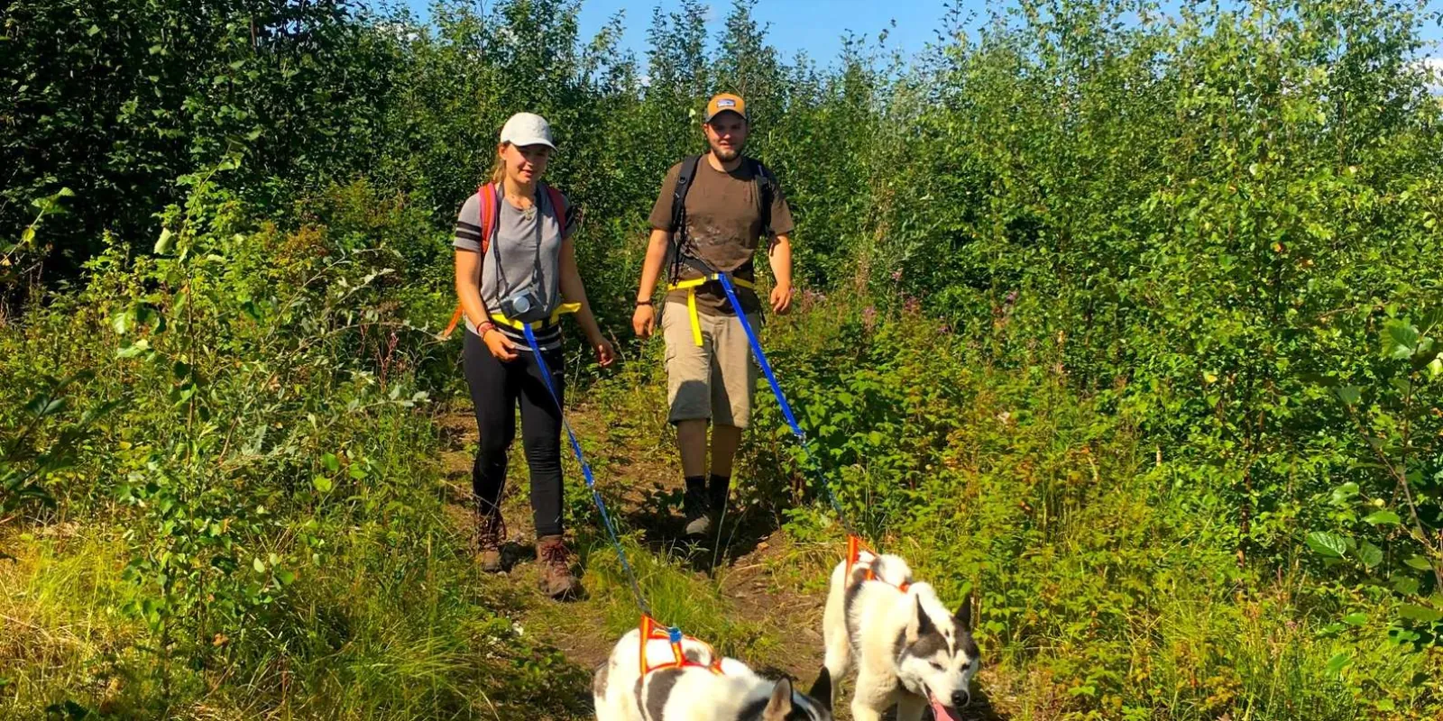 Fairbanks: Husky Hiking Tour